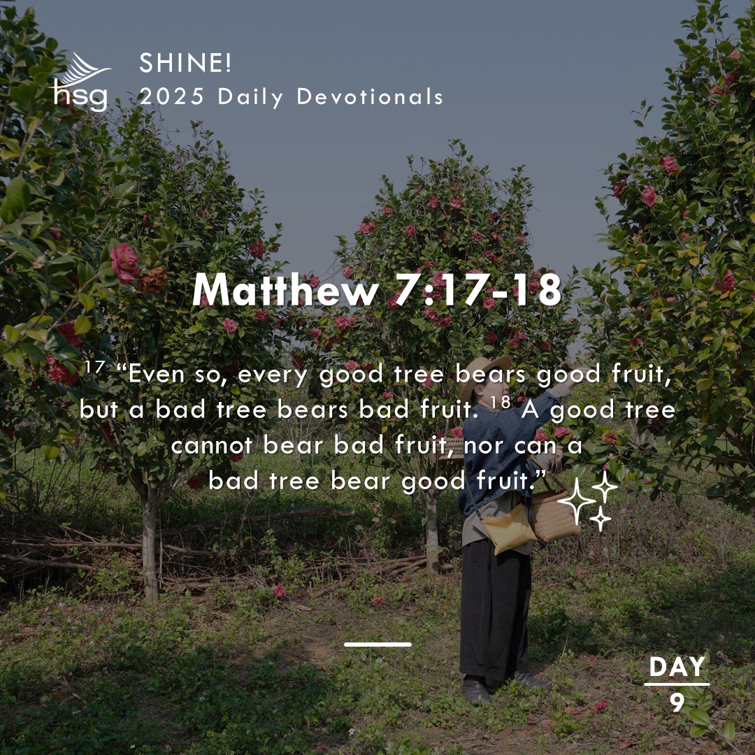 Day 9 – Matthew 7:17-18