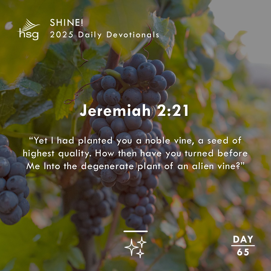 Day 65 – Jeremiah 2:21