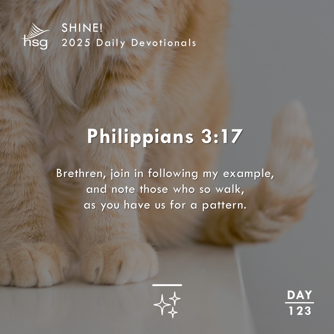 Day 123 – Philippians 3:17