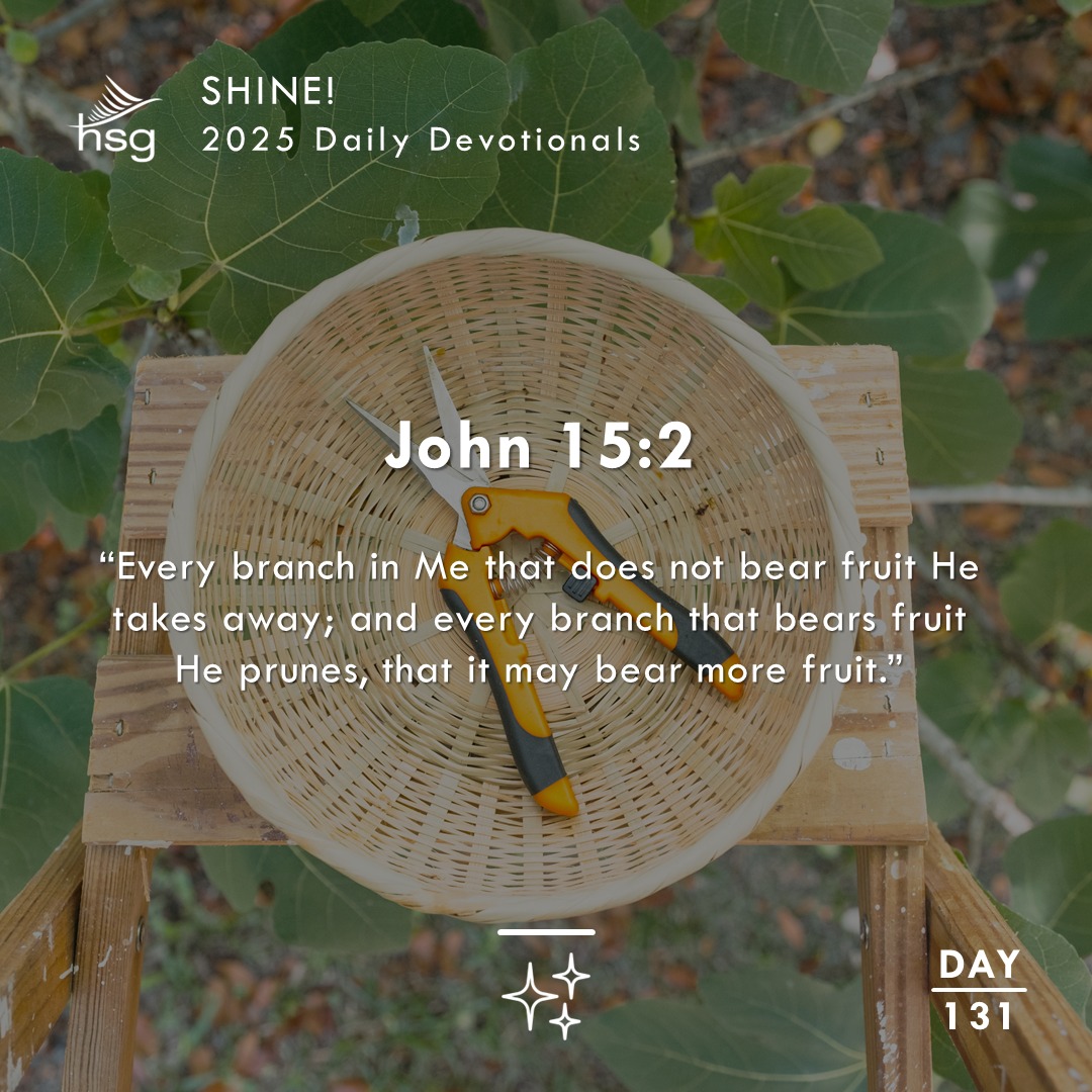 Day 131 – John 15:2
