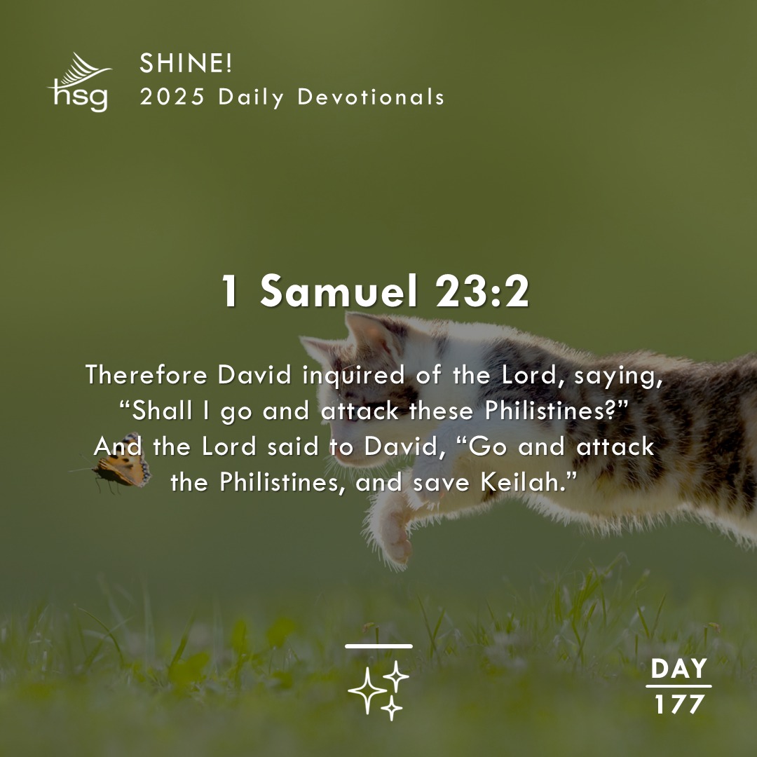 Day 177 – 1 Samuel 23:2