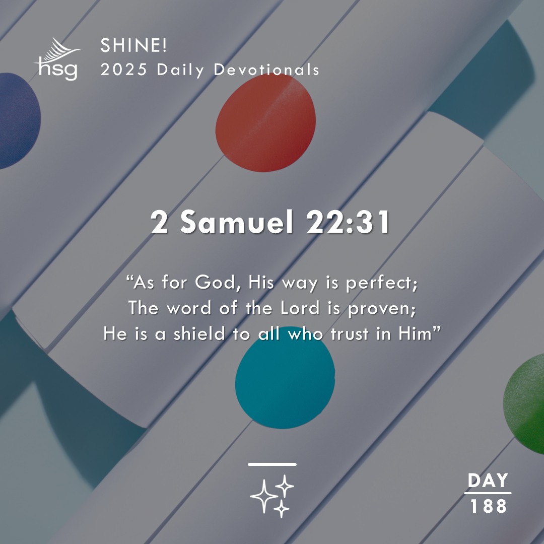 Day 188 – 2 Samuel 22:31