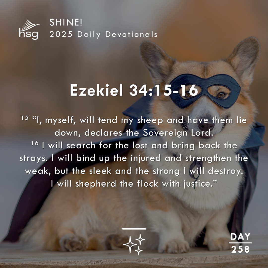 Day 258 – Ezekiel 34:15-16