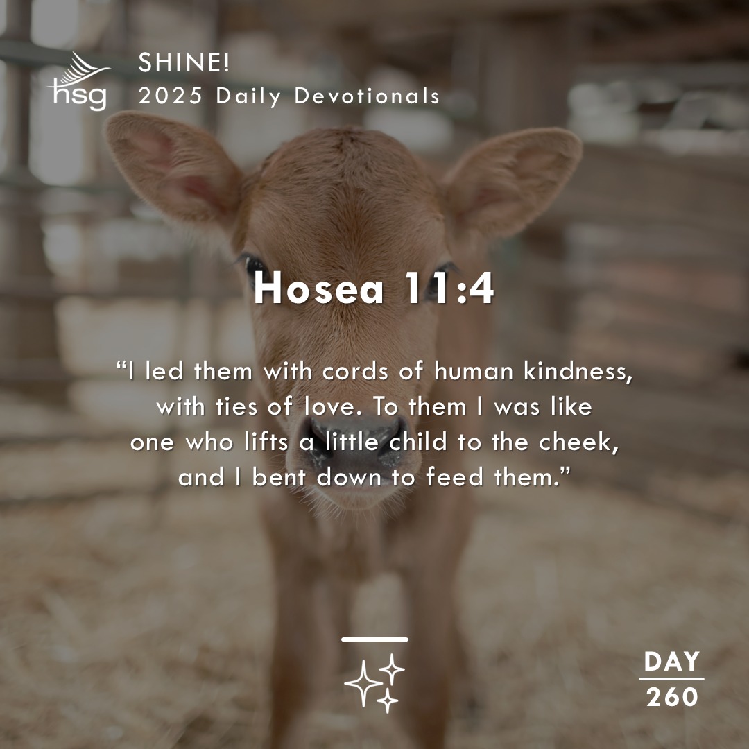 Day 260 – Hosea 11:4