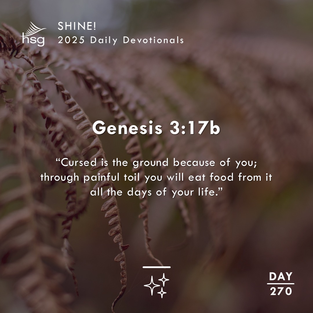 Day 270 – Genesis 3:17b