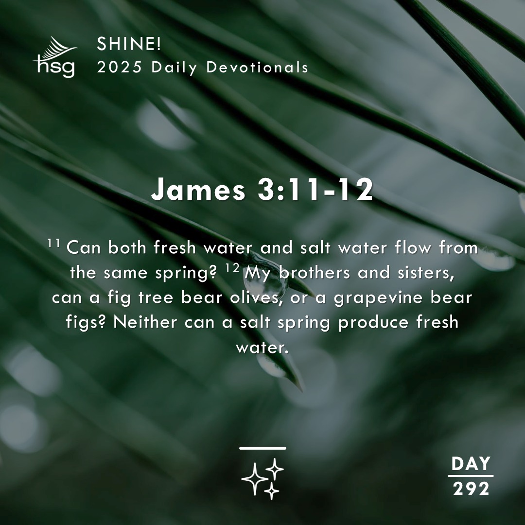 Day 292 – James 3:11-12