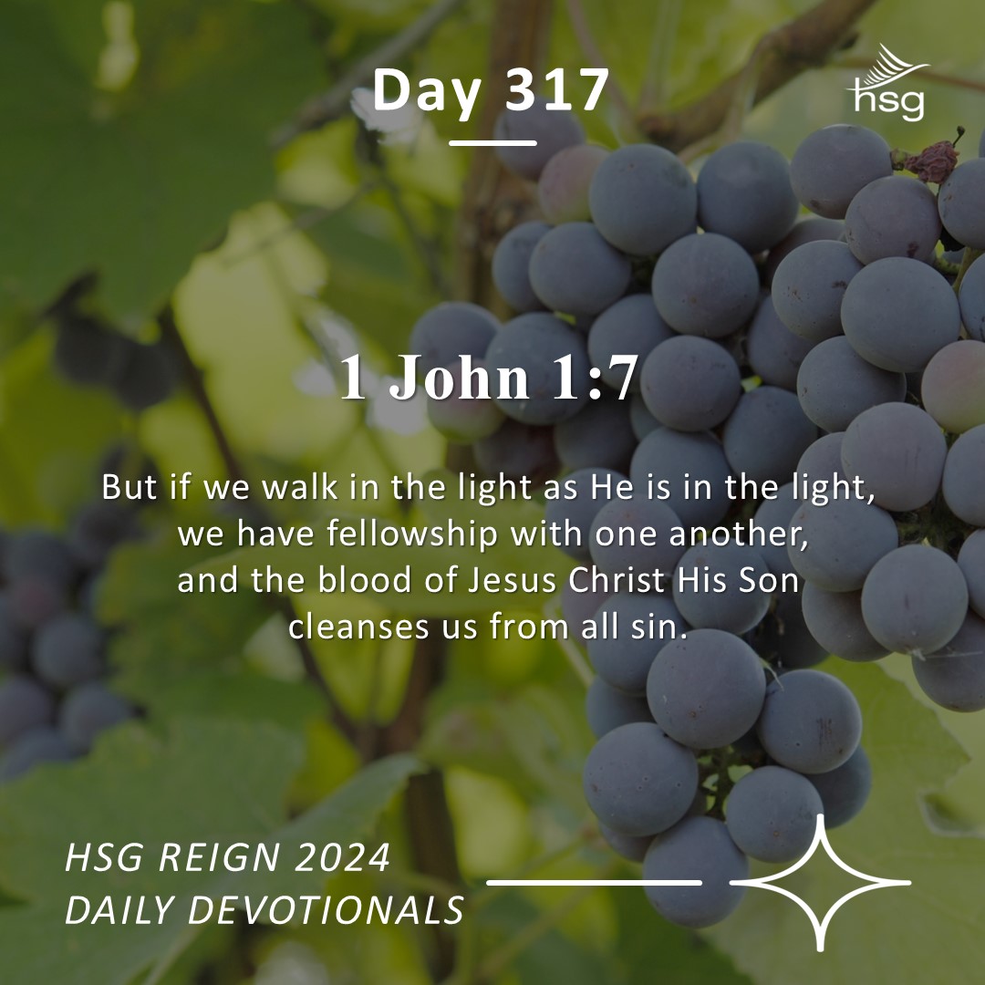 Day 317 – 1 John 1:7